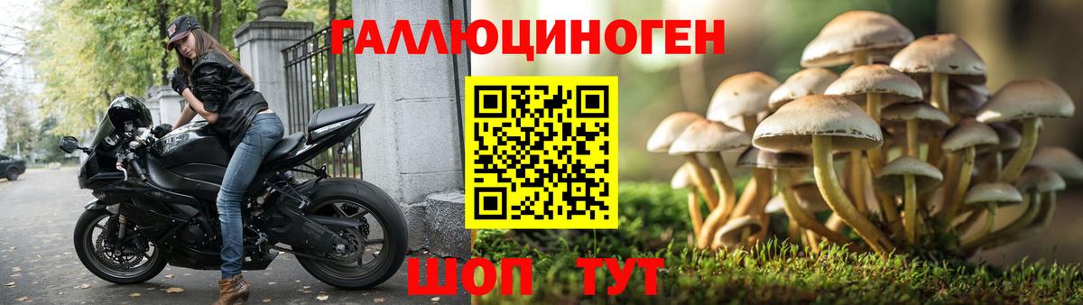 Псилоцибиновые грибы прущие грибы  Вход с VPN  Лангепас 